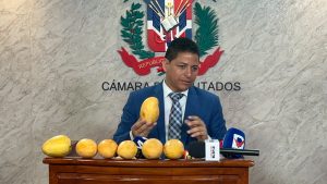 diputado-del-prm-pide-apoyo-estatal-para-enfrentar-plaga-que-afecta-produccion-de-mango-en-bani