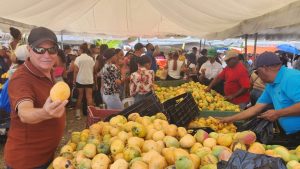 Productores de mango plantean industrializar la fruta tras exitoso cierre de Expo Mango Baní 2026