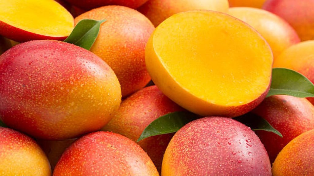 vaticina-exportaciones-de-mango-superaran-60-millones-de-dolares-este-ano