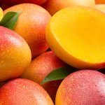 Vaticina exportaciones de mango superarán 60 millones de dólares este año