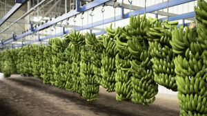 ¿eres-exportador?-gobierno-presenta-proyecto-que-busca-hacer-reembolsos-por-combustibles-y-seguros
