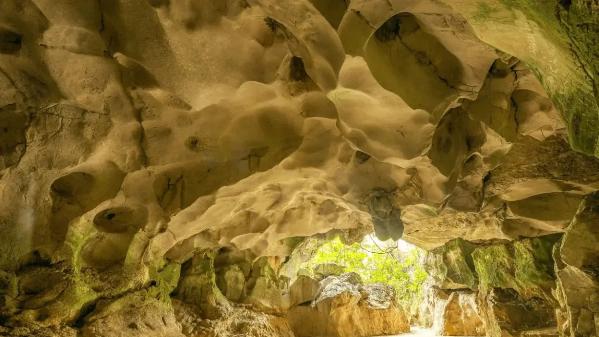 ¡Victoria de ambientalistas! Presidente declara de utilidad pública las Cuevas del Pomier