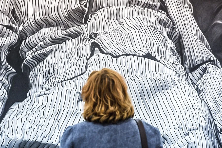 Backdrop
