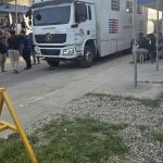 DGM detiene a dos empleados por tráfico irregular de haitianos en vehículos oficiales