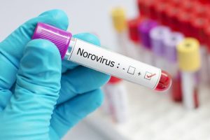 mas-de-100-casos-de-norovirus-en-crucero-que-salio-de-california-y-regreso-a-san-francisco