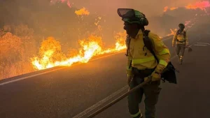 tragedia-en-espana:-incendio-cobra-la-vida-de-12-personas-y-deja-a-19-desaparecidos