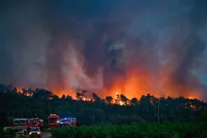 Fuerte incendio arrasa bahía turística y provoca evacuaciones masivas en Francia