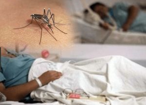 Salud Pública reporta 213 casos de dengue en 2026 y descarta alerta epidemiológica nacional
