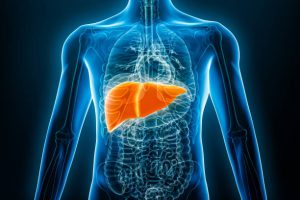 identifican-proteina-que-protege-al-higado-del-envejecimiento