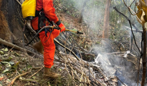 Helicóptero se estrella en zona boscosa de Río de Janeiro y deja cuatro muertos