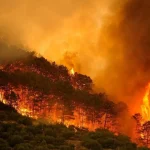 Incendios golpean varios países de Europa y obligan a evacuar