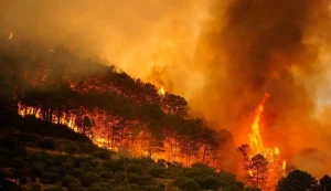 Incendios golpean varios países de Europa y obligan a evacuar