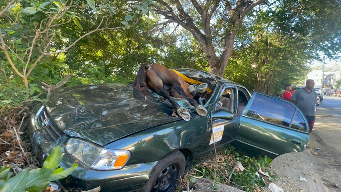 Caballo suelto provoca accidente en carretera Jánico; conductor resulta herido tras impactar contra el animal