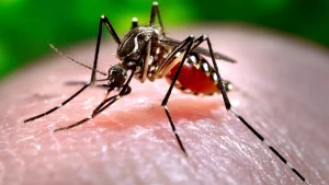 RD registra una de las tasas más bajas de dengue en comparación región