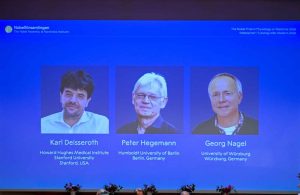 La optogenética conquista el Nobel de Medicina por revelar los secretos del cerebro
