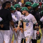 Las Estrellas frenan a los Tigres del Licey